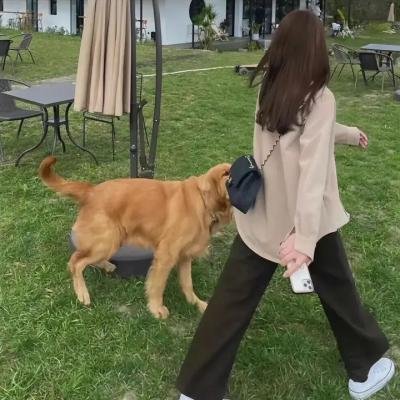 在我姐姐的婚纱里